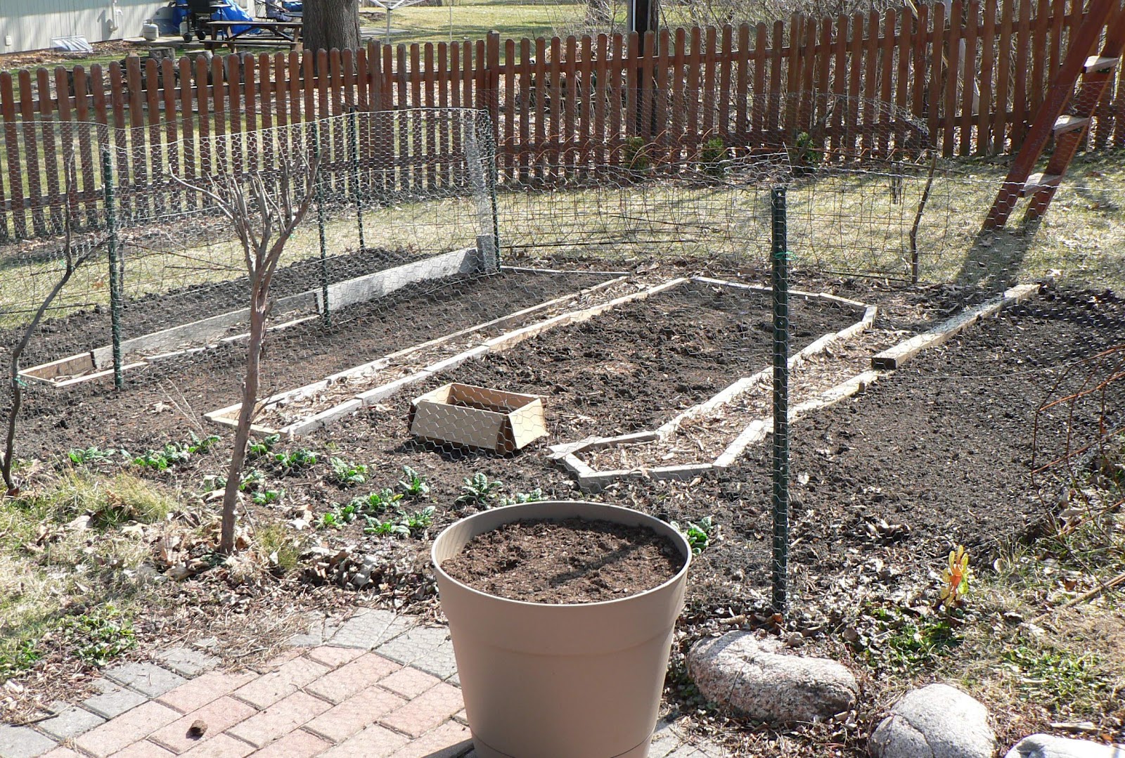 Visit My Garden: Things Happening