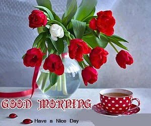 Good Morning SMS Good Morning SMS