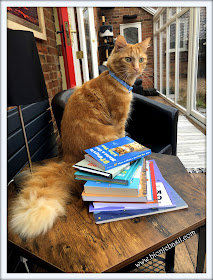Fudge Guarding Amber's Books ©BionicBasil® Feline Fiction of Fridays #96