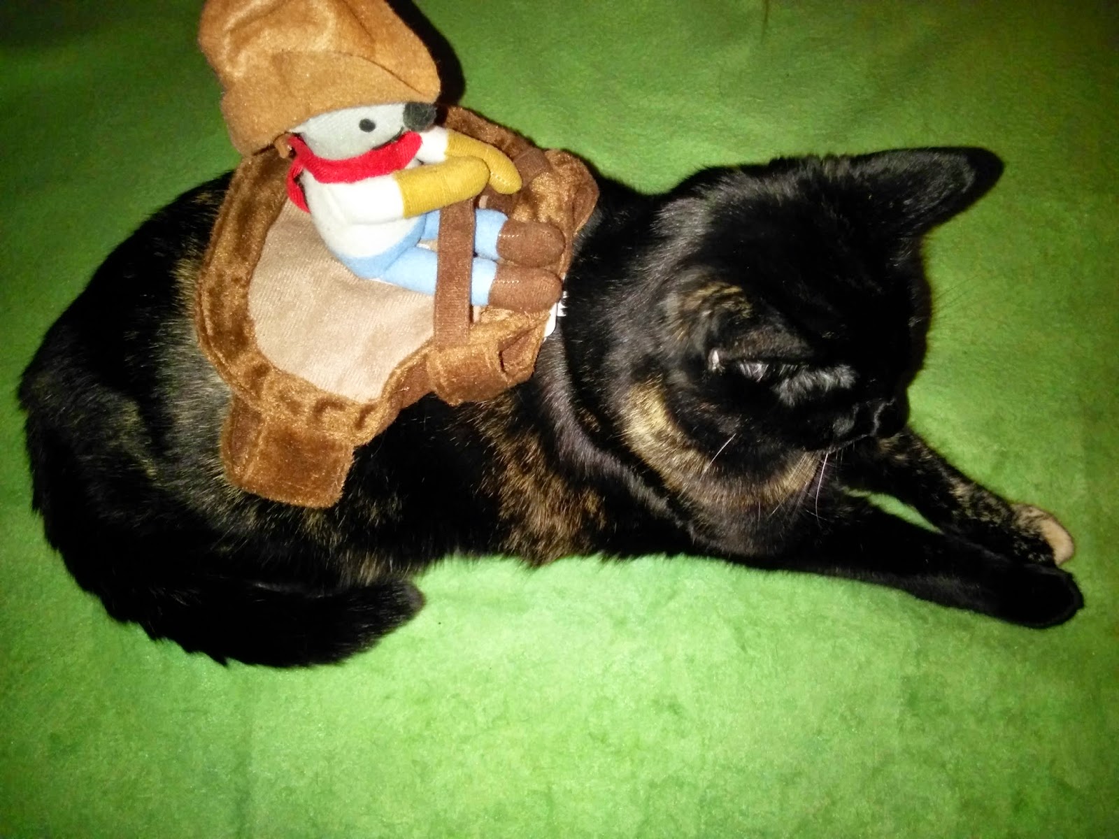 Melissa's Mochas, Mysteries and Meows Truffles Models Costumes from