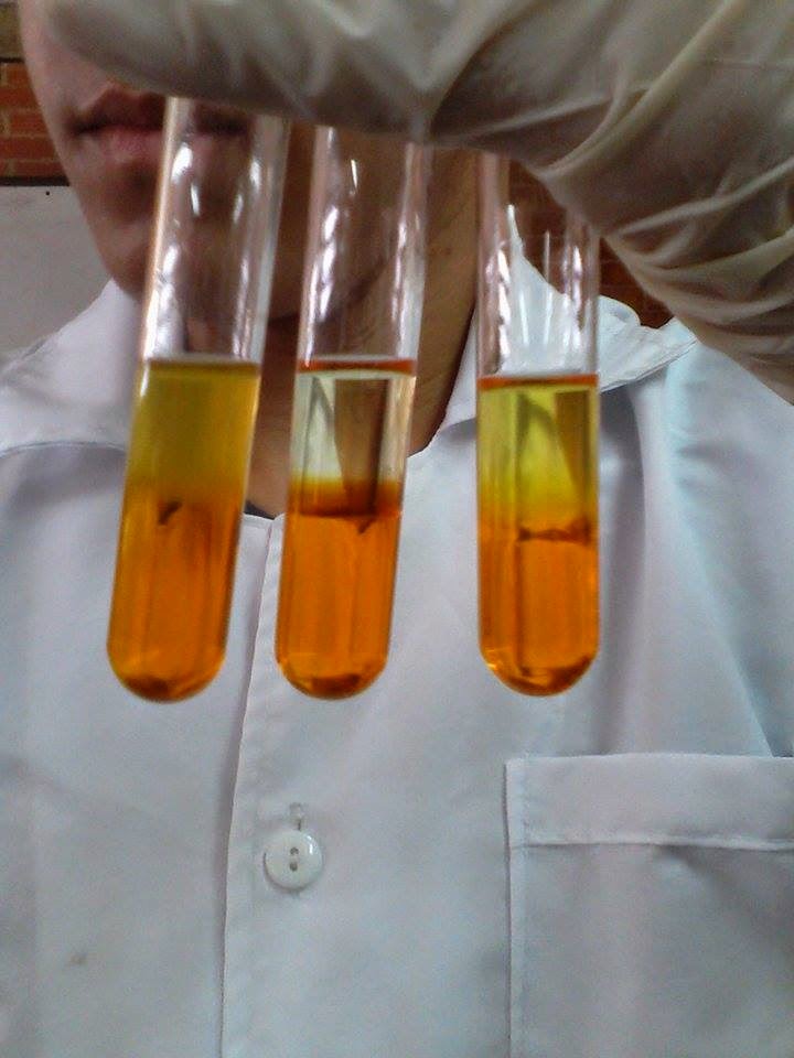 INFORMES DE LABORATORIO DE QUÍMICA ORGÁNICA: OBTENCIÓN DE ALCOHOLES