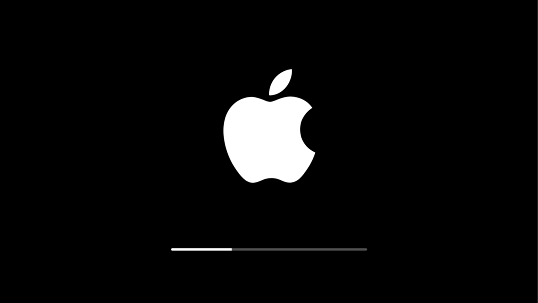 iphone frozen on apple logo