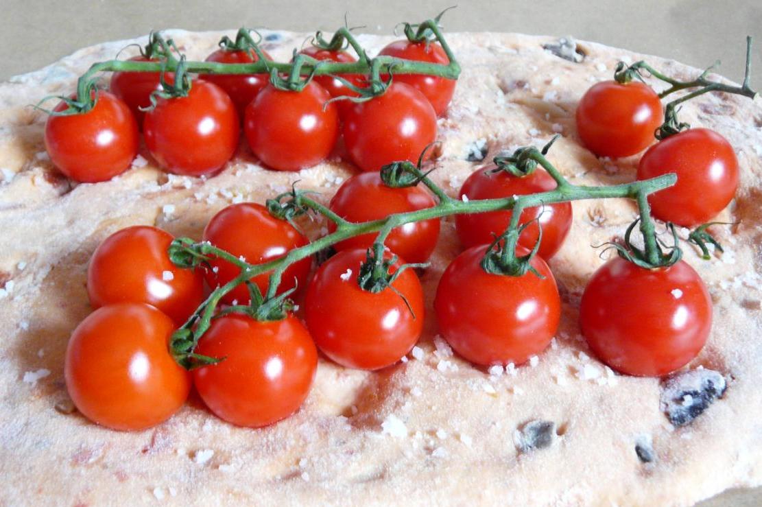 Kulinarische Welten zu Fisch- und Meeresfrucht: Tomaten-Focaccia mit ...