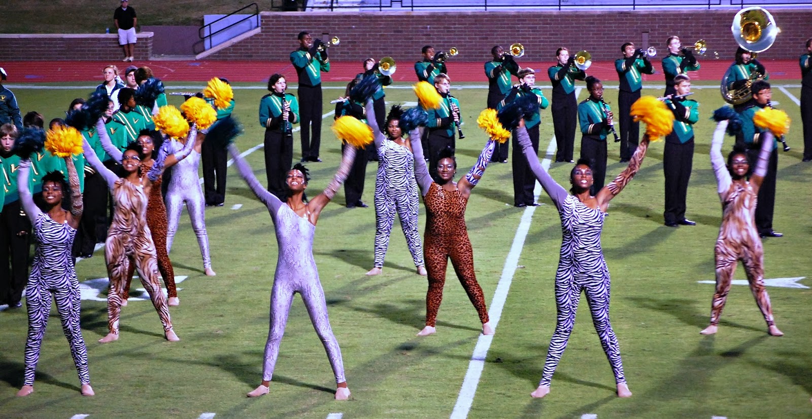 Viking Update: Congratulations Spring Valley Viking Band