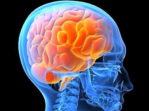 失智症有解？中研院找到關鍵因素TDP-43類澱粉蛋白