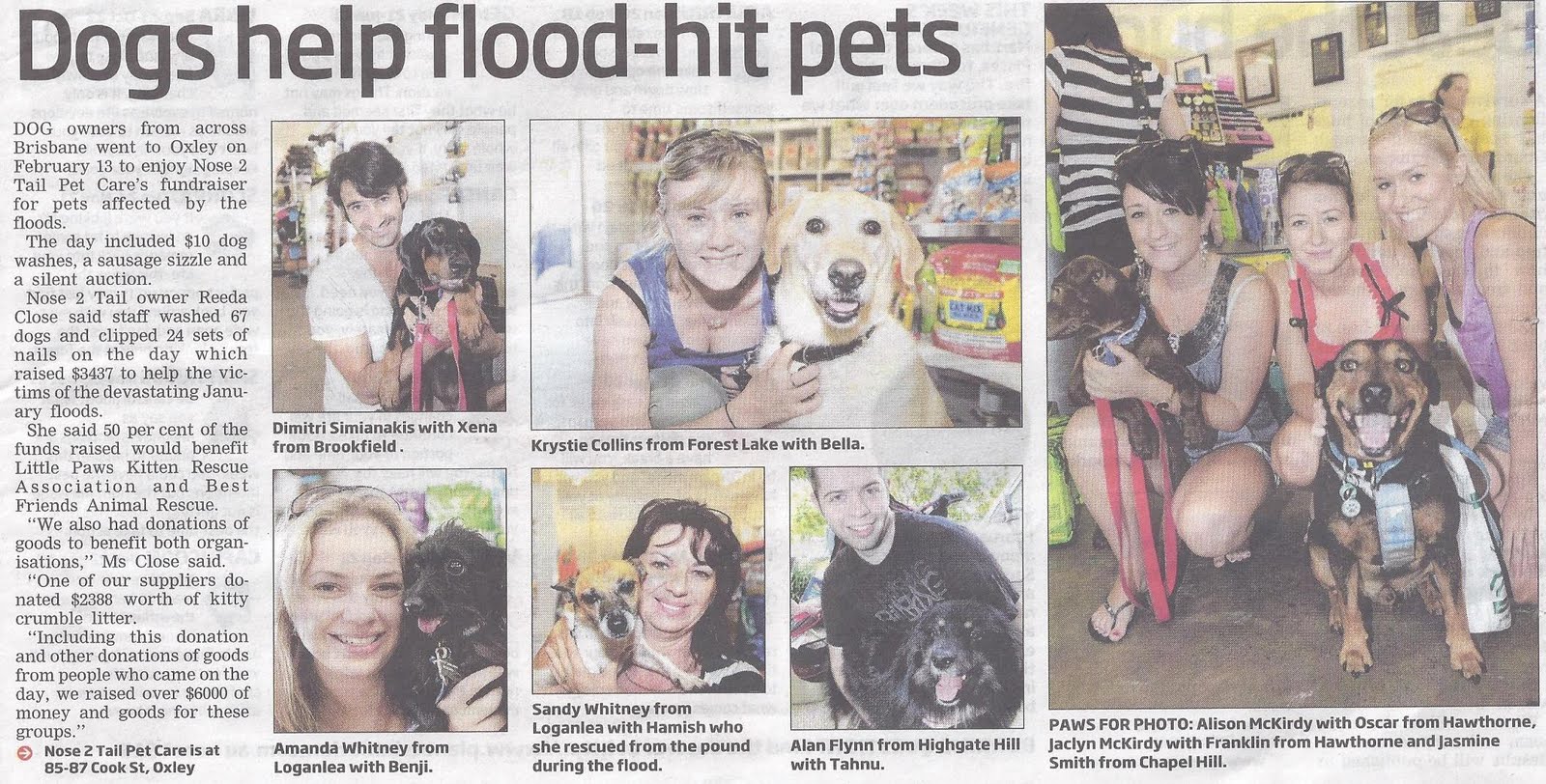 article for pets article regarding pets