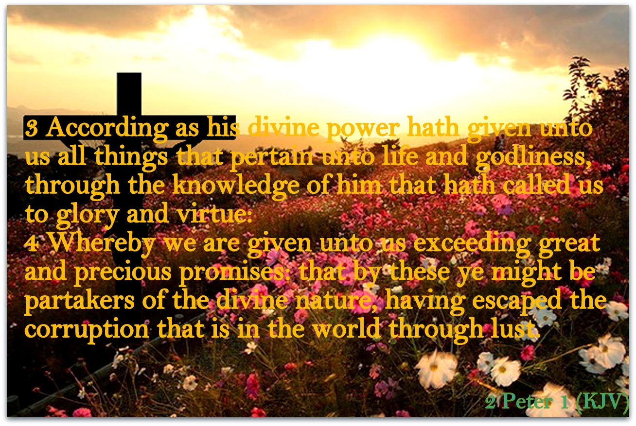 Red Pill Diaries 2 Peter 1 KJV red-pill-diaries-2-peter-1-kjv