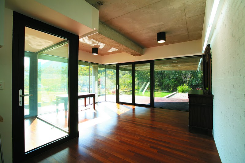 modern house green roof