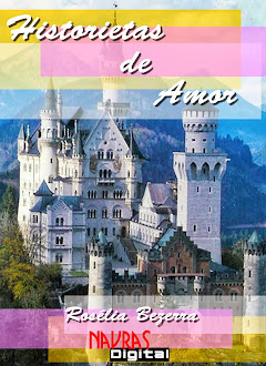 Meu Segundo E-book (livro digital)