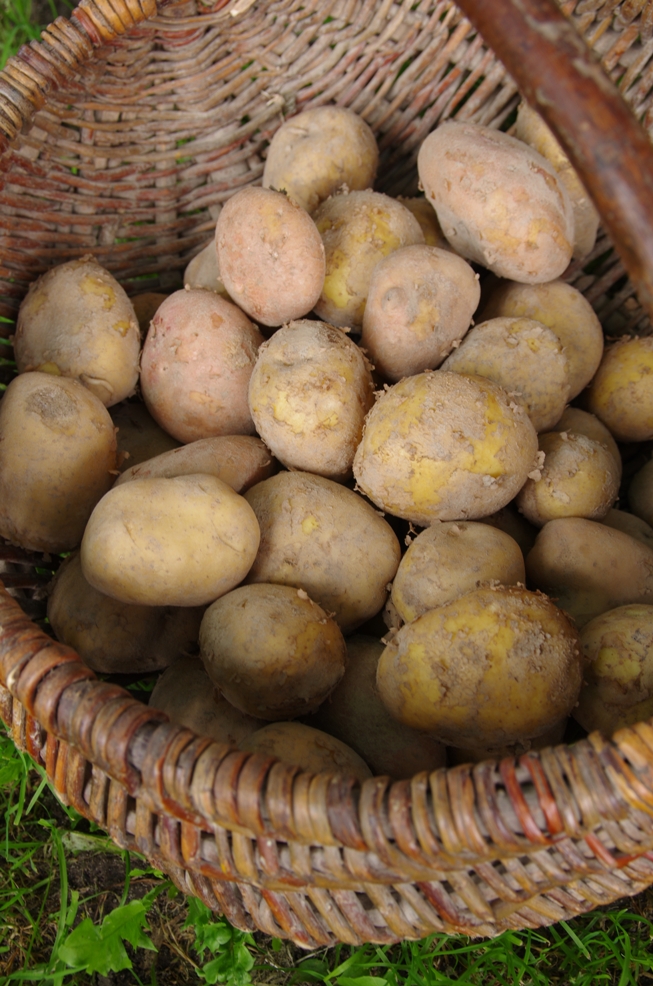 Obiad gotowy! Zupa z frykadelkami dla dzieci (i nie tylko)