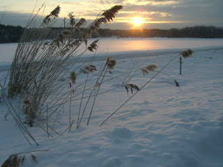 Kall%2Boch%2Bvacker%2Bmorgonpromenad%2B%25284%2529 - Så kallt och så vackert