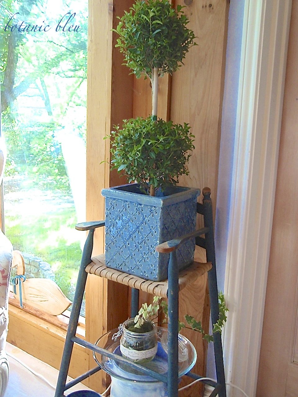 topiaries-live-indoors-and-outdoors