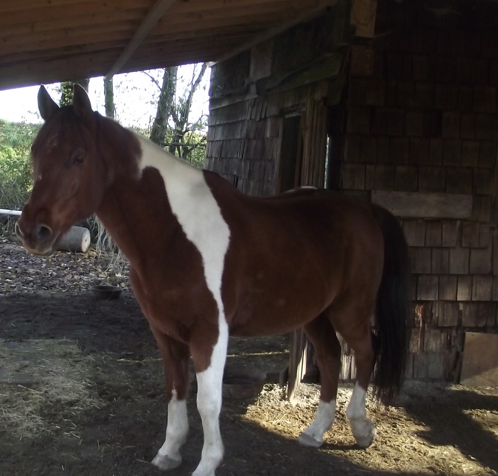 barn manager
