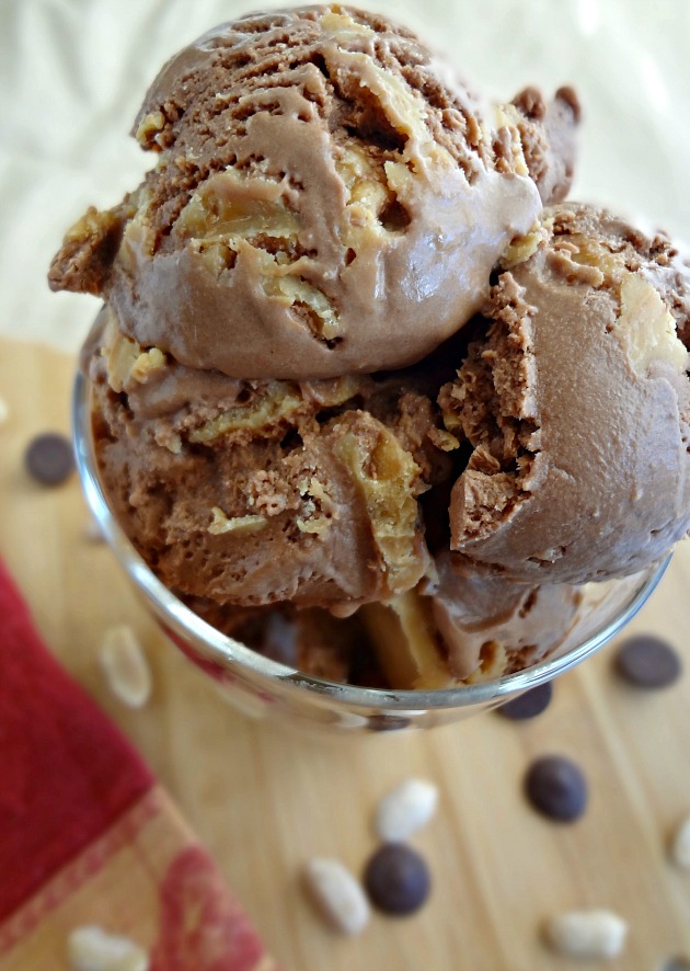 Dark Chocolate and Peanut Butter Ice Cream