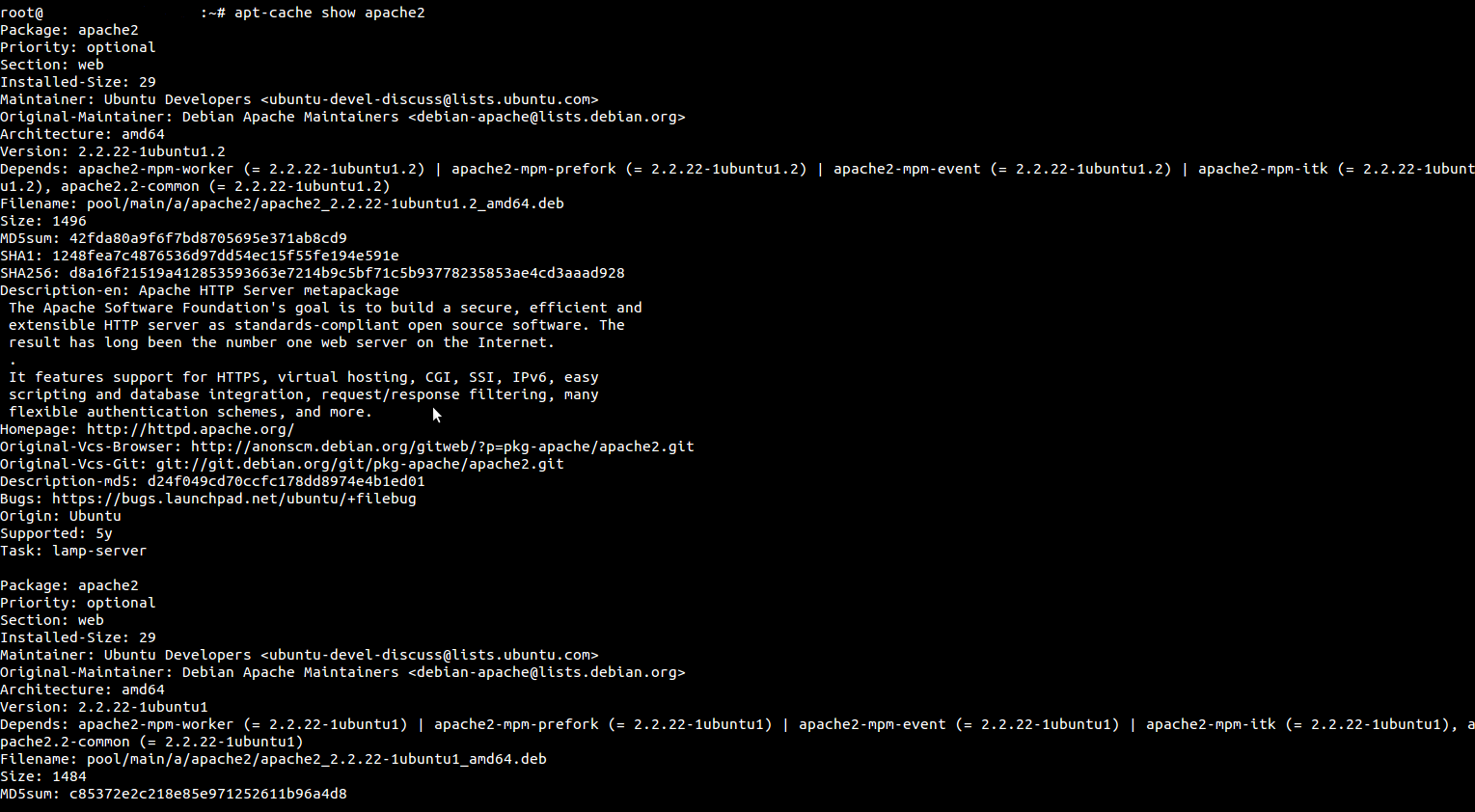 Tech talks Debian/LinuxAdvanced Packaging Tool(APT)
