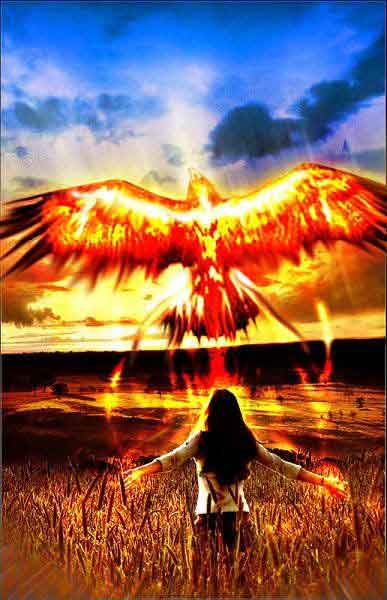 Scorpio symbolism the Phoenix