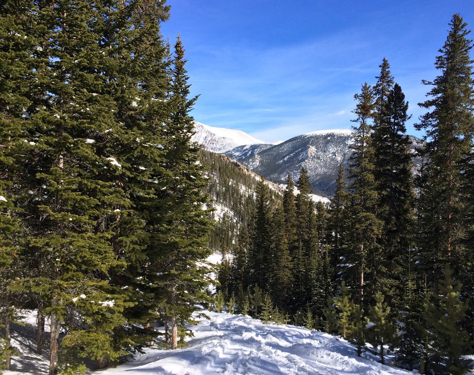Colorado Adventures Hidden Valley Backcountry Skiing in Estes Park