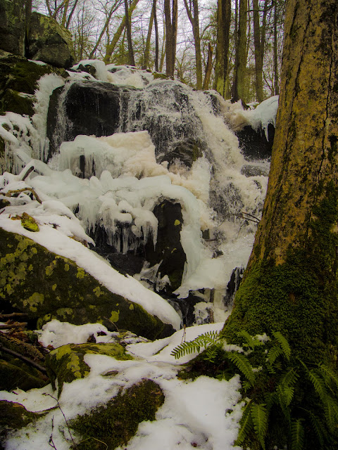 Pryden Falls, Priton Brook, The Zoar Trail, Newtown CT
