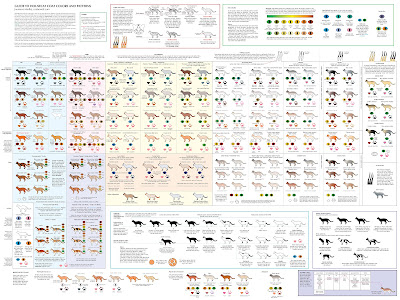 Every cat color you could ever imagine...