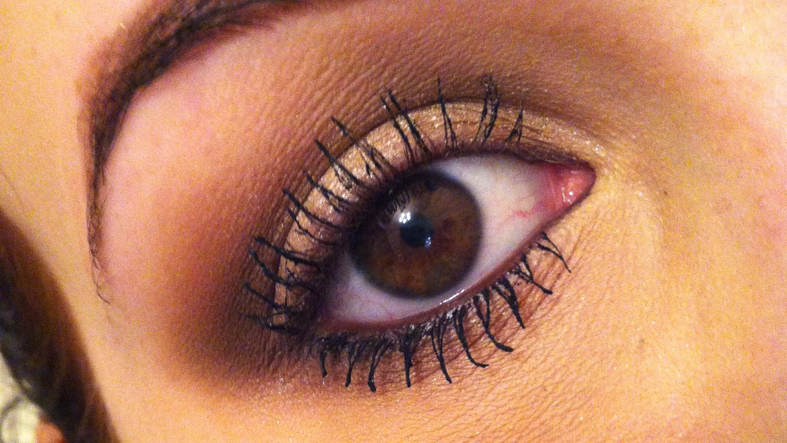 Holly Mixtures L'Oreal False Lash Telescopic Mascara Review