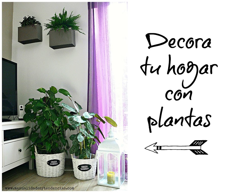 Rincón de plantas de interior en el salón