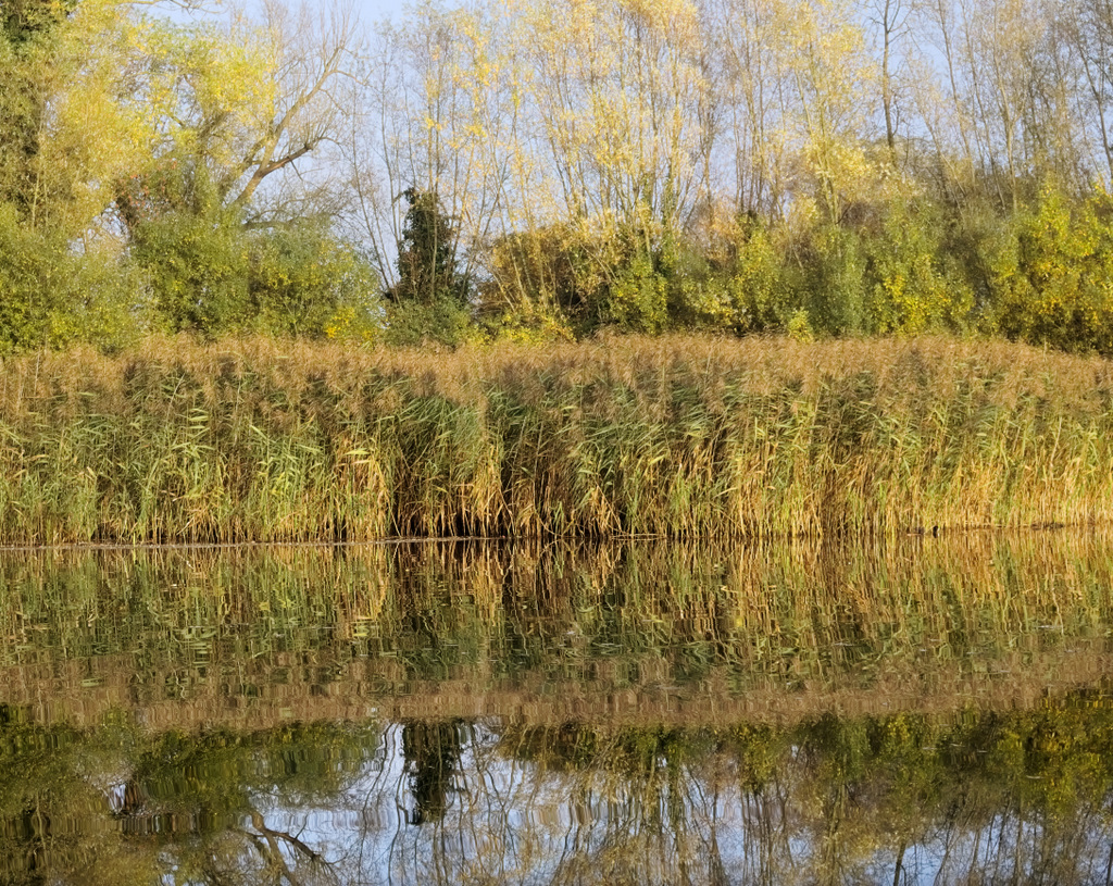 Milton Country Park Through the Year Review 2