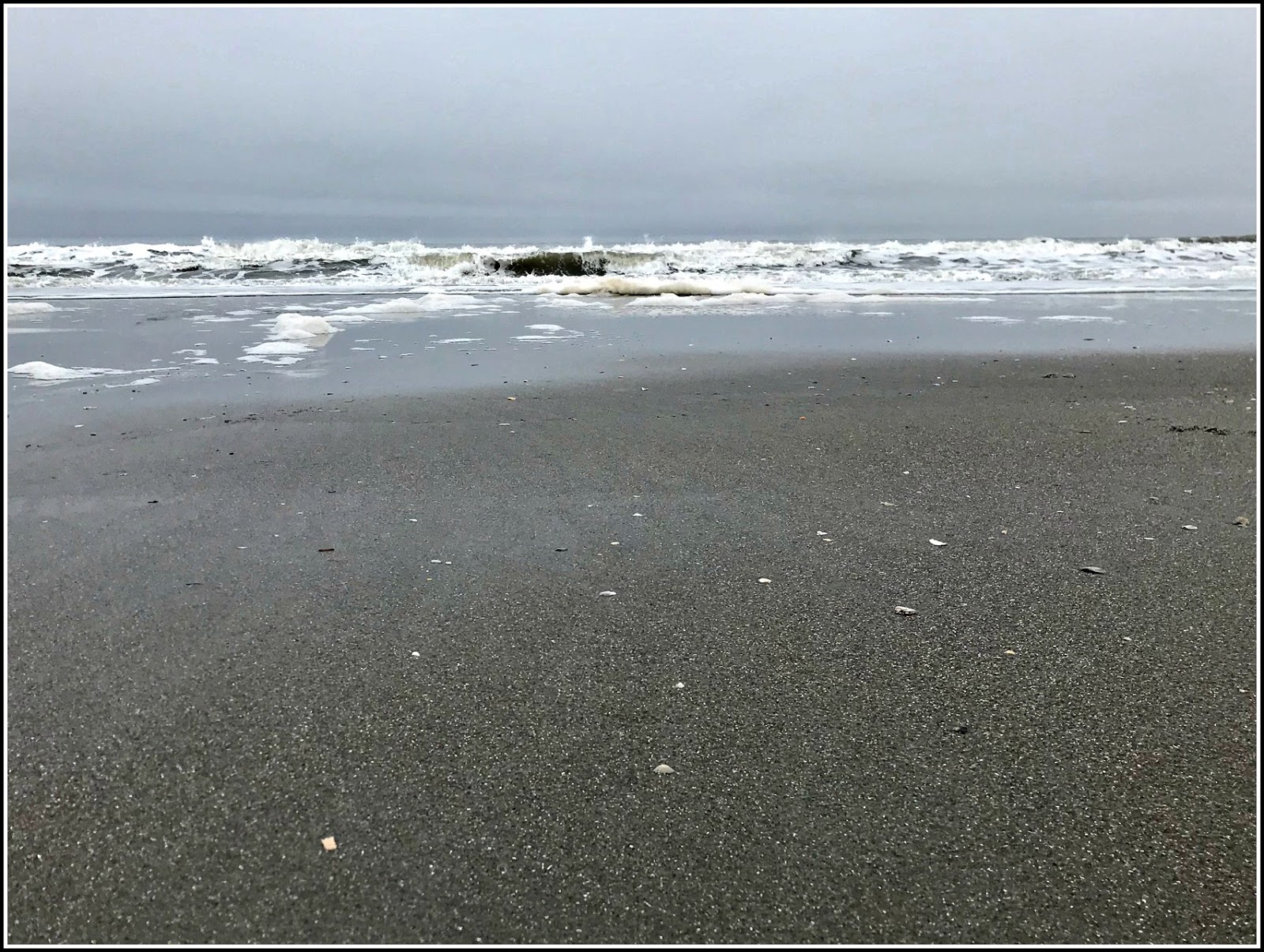 Our Retirement Days Myrtle Beach February 20, 2019 After the rain