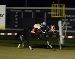 AngieMerkel: triple coronada valenciana en condición de invicta