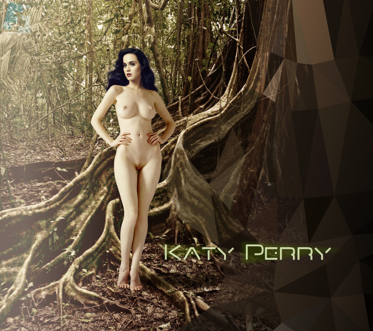 Has Katy Perry Been Nude.