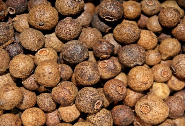 Allspice/Kabab Chini name in English, Hindi, Marathi Gujarati, Tamil, Telugu etc Allspice/Kabab Chini name in English, Hindi, Marathi Gujarati, Tamil, Telugu etc