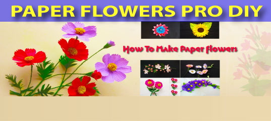 Paper Flowers Pro Diy