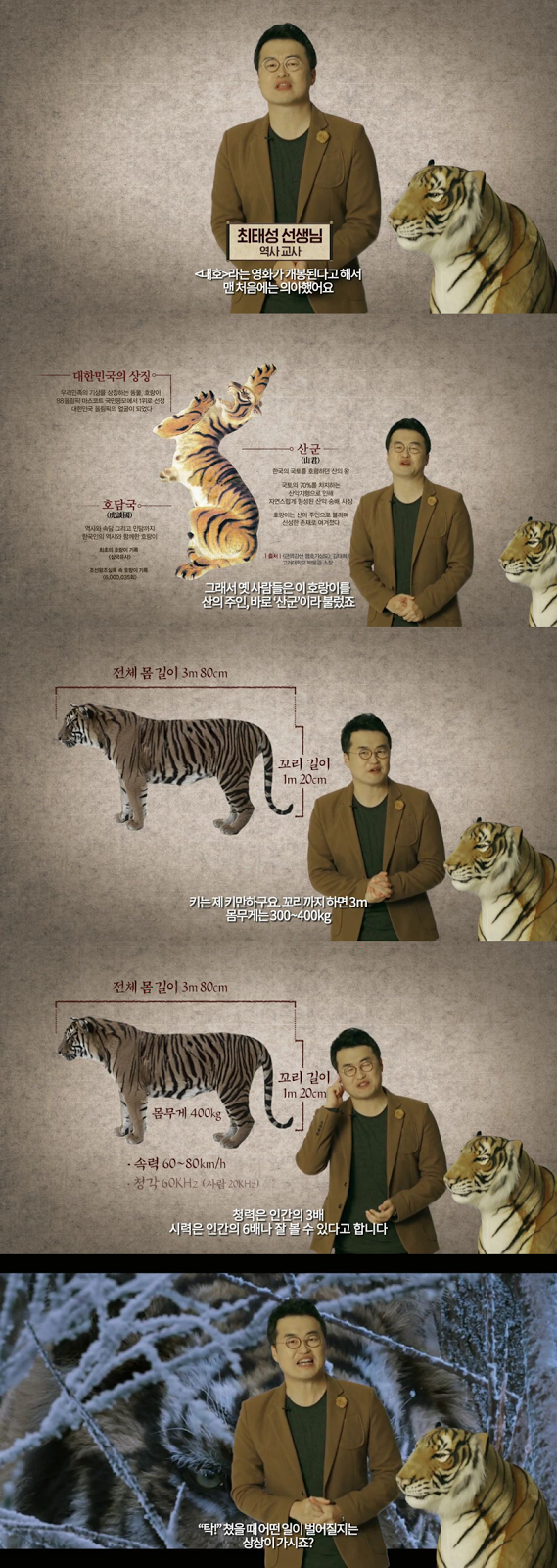 일제강점기에 사라진 호랑이의 비밀 | 인스티즈