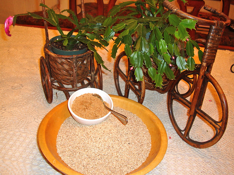 Taste of Nepal Sesame Seeds Til (तिल)