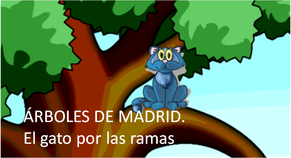ÁRBOLES DE MADRID. El gato por las ramas.