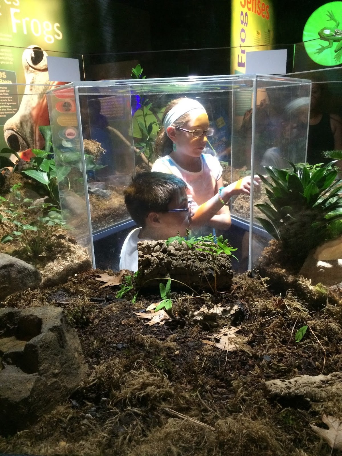 Evan and Lauren�s Cool Blog 8/15/16 Mystic Aquarium So