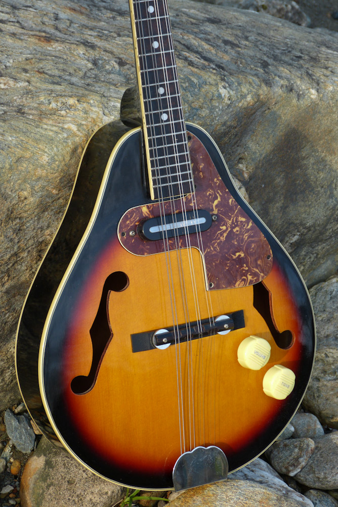 1970s Koreanmade Harmony Electric Mandolin