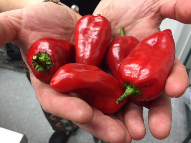 Heart and Sole Food