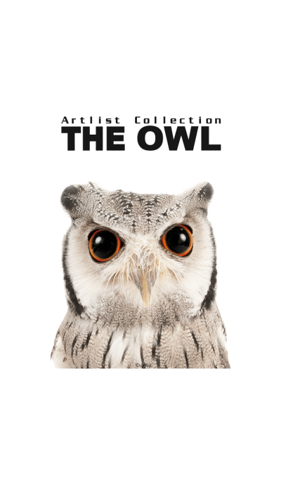 Artlist Collection THE OWL