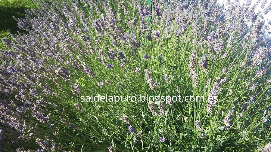 i-m-currently-loving