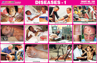 Diseases Chart