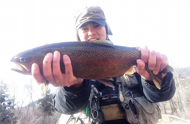Mountains, Rivers, & Trout - Japanese Edition