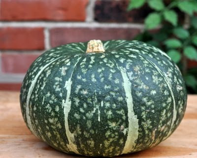 Use a Kabocha Squash, not a pumpkin, to make Homemade Pumpkin Purée. For Weight Watchers, #PP2 #KitchenParade