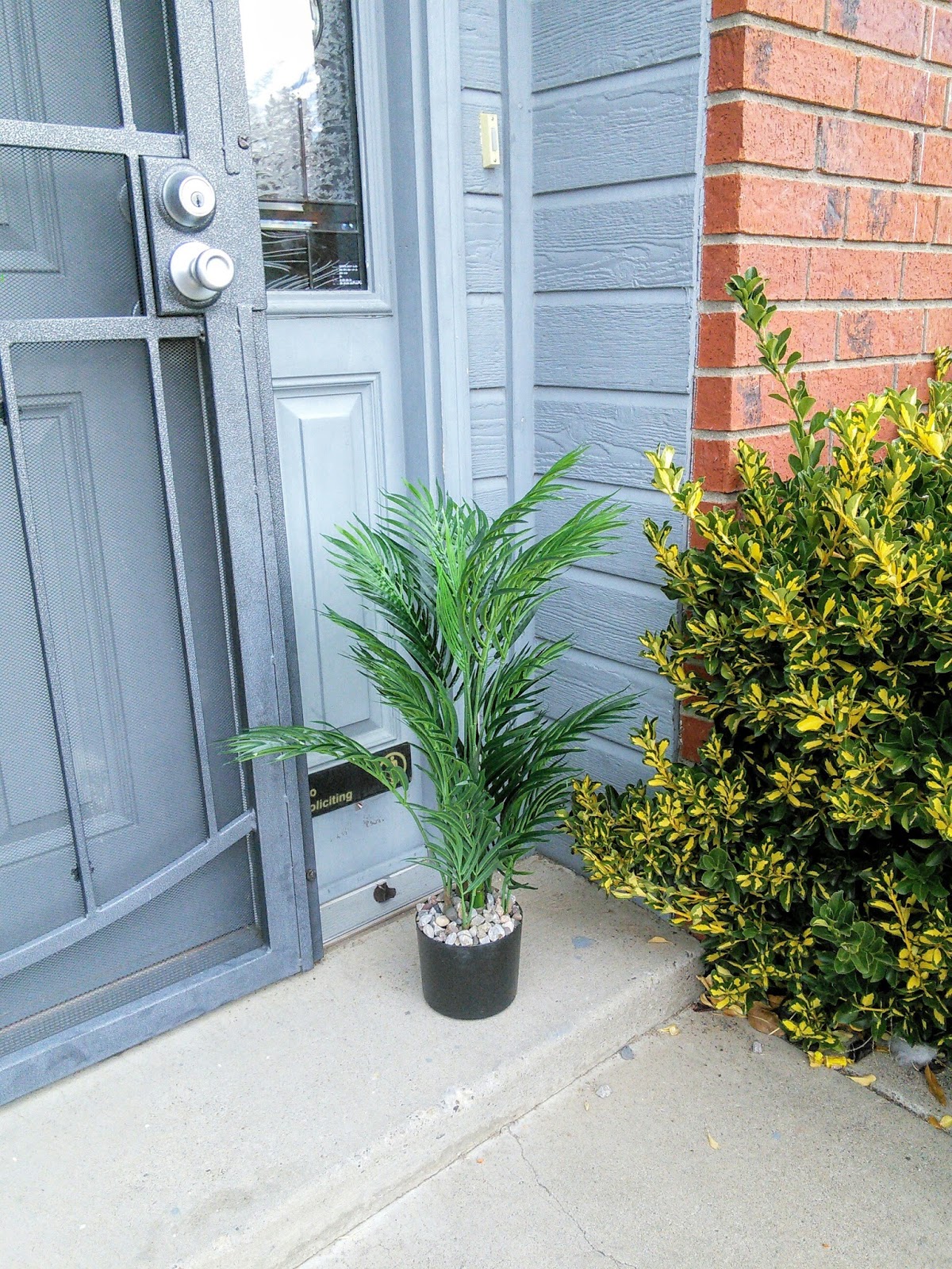 A beautiful silk plant has many uses for this blogger.