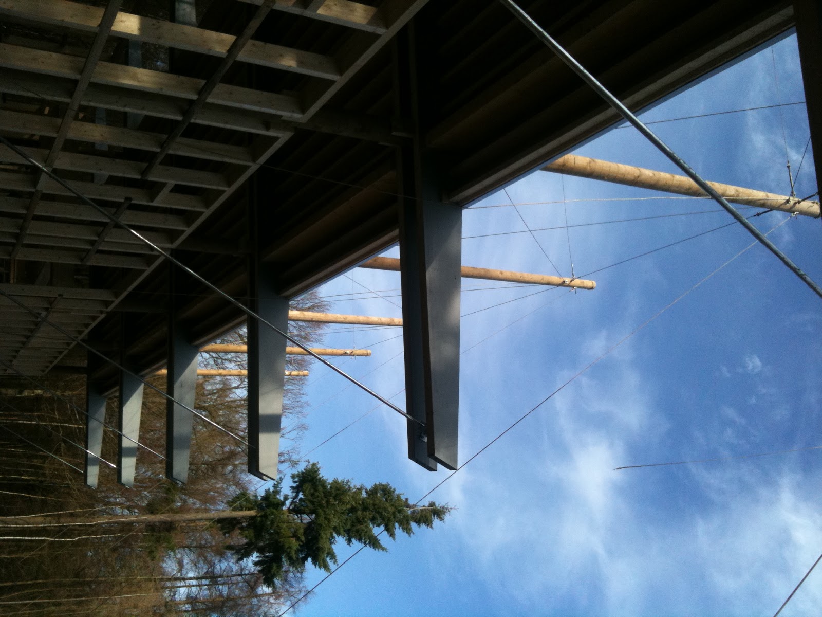 tangentfield news flimwell woodland enterprise centre