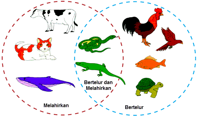 Tuliskan Dalam Bentuk Peta Pikiran Perkembangbiakan Hewan