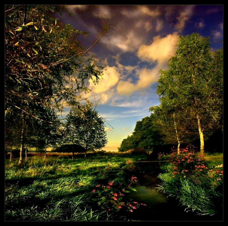 Beautiful Nature Scenes Photography