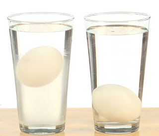 En este experimento se comprueba que la salinidad del agua es la responsable de que los huevos floten o no. ¡Muy educativo y práctico!