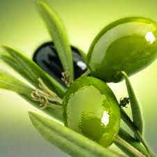 http://www.al-sehha.com/2013/11/The-benefits-of-olive-oil-for-lose-weight.html