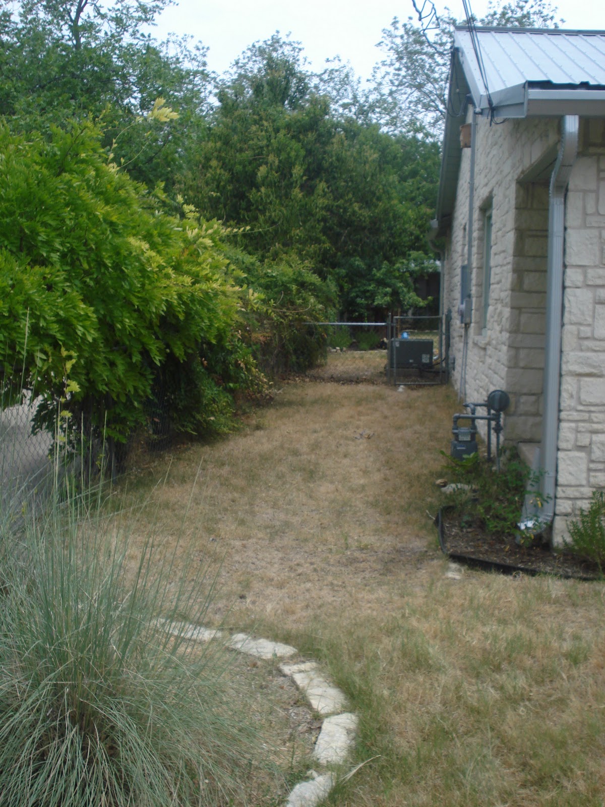 The Not So Big Garden: Dry Creek Bed
