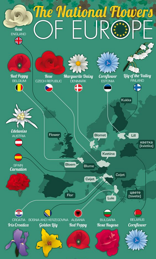 Valanglia THE NATIONAL FLOWERS OF EUROPE